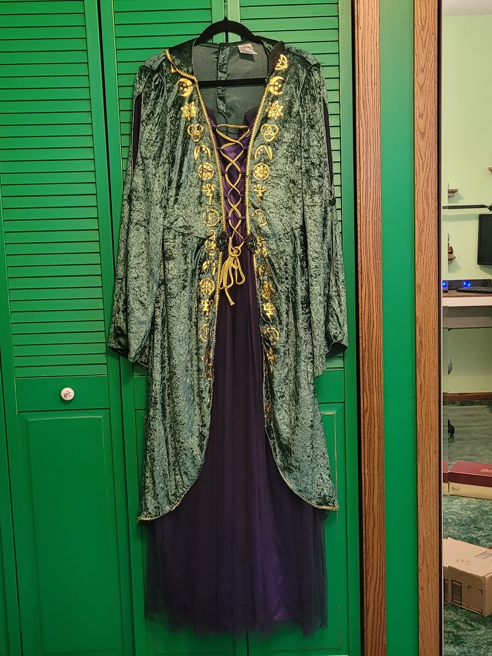 Disney Hocus Pocus Green And Purple Witch Dress